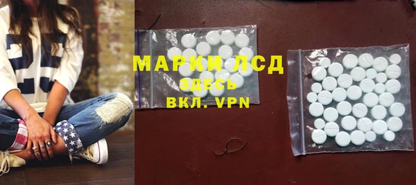 ECSTASY Богданович