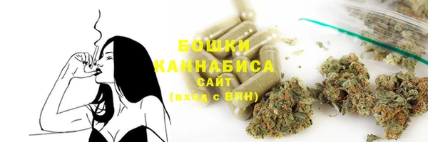ECSTASY Богданович