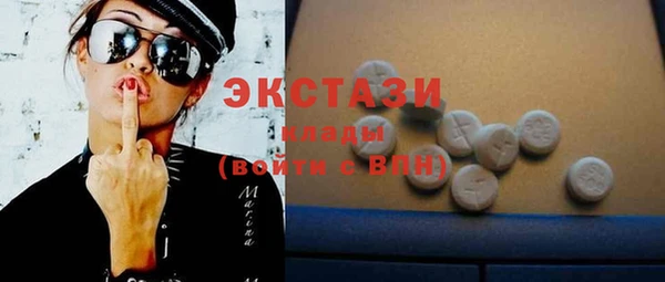 ECSTASY Богданович