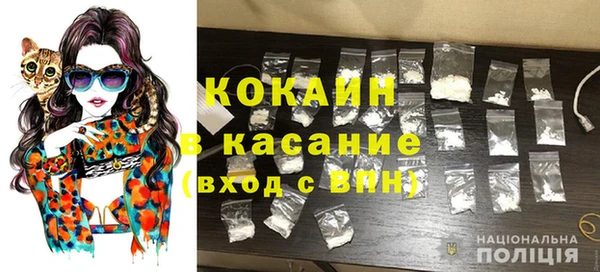 ECSTASY Богданович