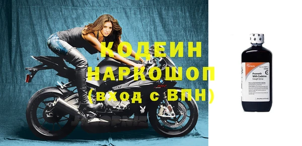 ECSTASY Богданович