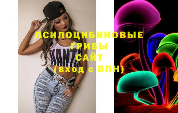ECSTASY Богданович
