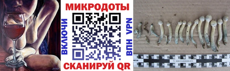 Галлюциногенные грибы Psilocybine cubensis купить наркотик мега ссылки Конаково